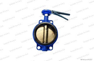 Затвор ДУ 50